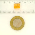 ITLGR_121720_SCALE.webp