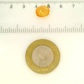 ITLGR_121727_SCALE.webp