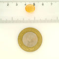 ITLGR_121728_SCALE.webp