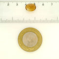 ITLGR_121731_SCALE.webp