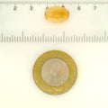 ITLGR_121734_SCALE.webp