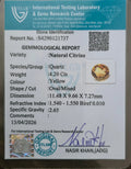 ITLGR_121737_CERTIFICATE.webp