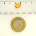 ITLGR_121737_SCALE.webp