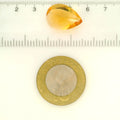ITLGR_121752_SCALE.webp