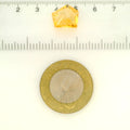 ITLGR_121758_SCALE.webp