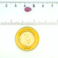 ITLGR_121788_SCALE.webp