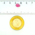 ITLGR_121805_SCALE.webp