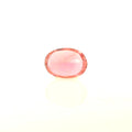 ITLGR_121819_BACK.webp