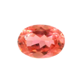 ITLGR_121819_FRONT.png