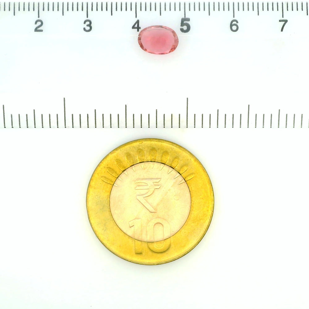 ITLGR_121819_SCALE.webp