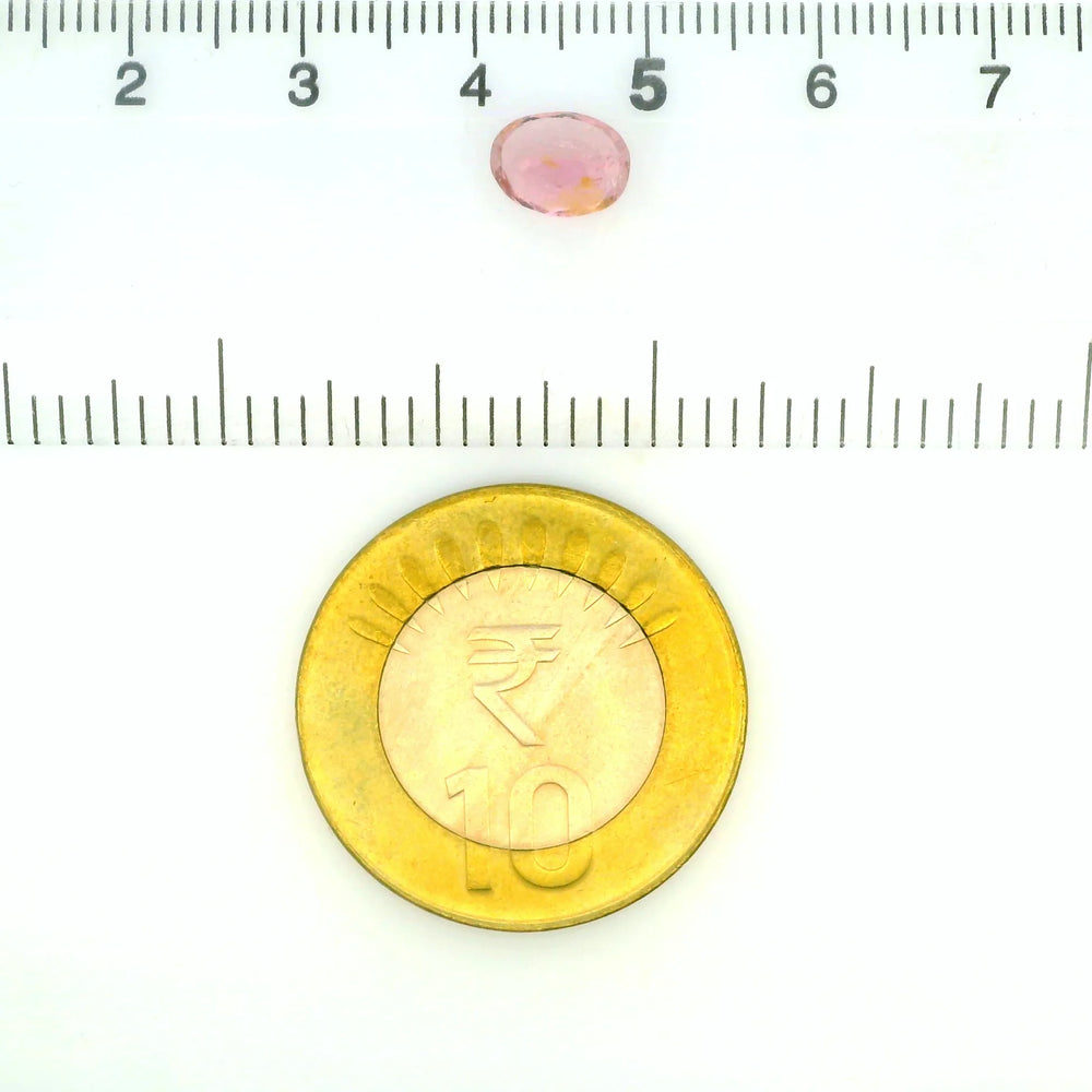 ITLGR_121821_SCALE.webp