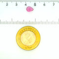 ITLGR_121831_SCALE.webp