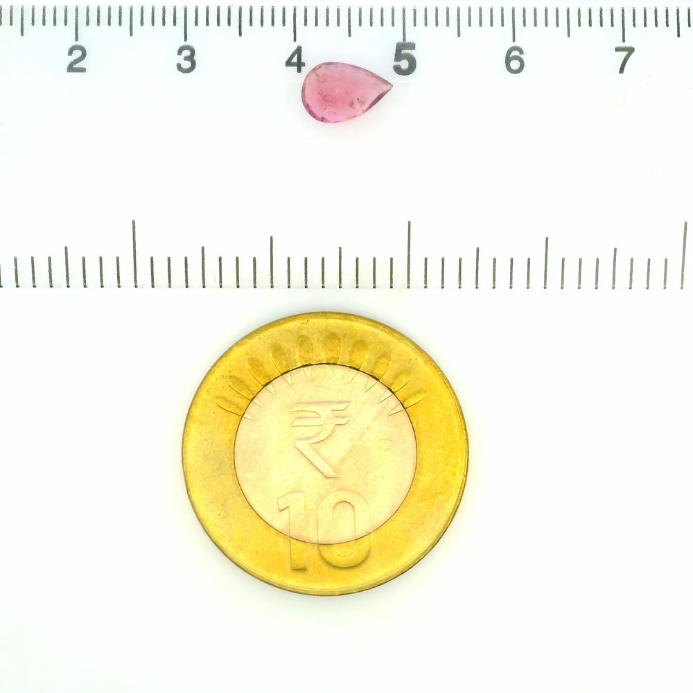ITLGR_121833_SCALE.webp