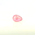 ITLGR_121837_BACK.webp