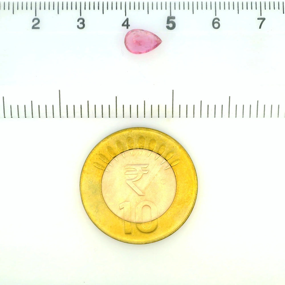 ITLGR_121837_SCALE.webp