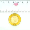 ITLGR_121839_SCALE.webp