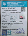 ITLGR_121841_CERTIFICATE.webp