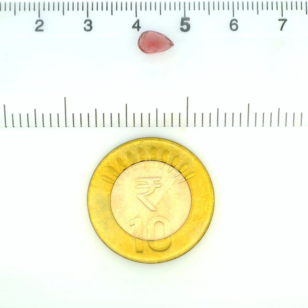 ITLGR_121843_SCALE.webp