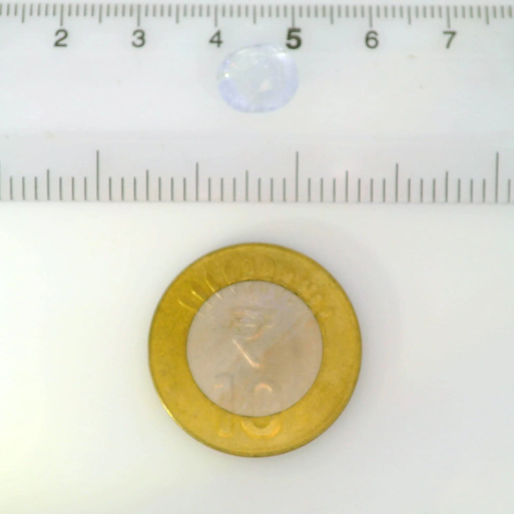 ITLGR_122104_SCALE.webp