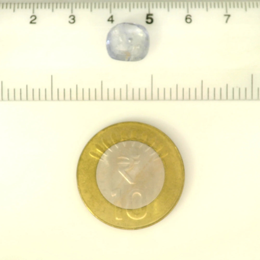 ITLGR_122106_SCALE.webp