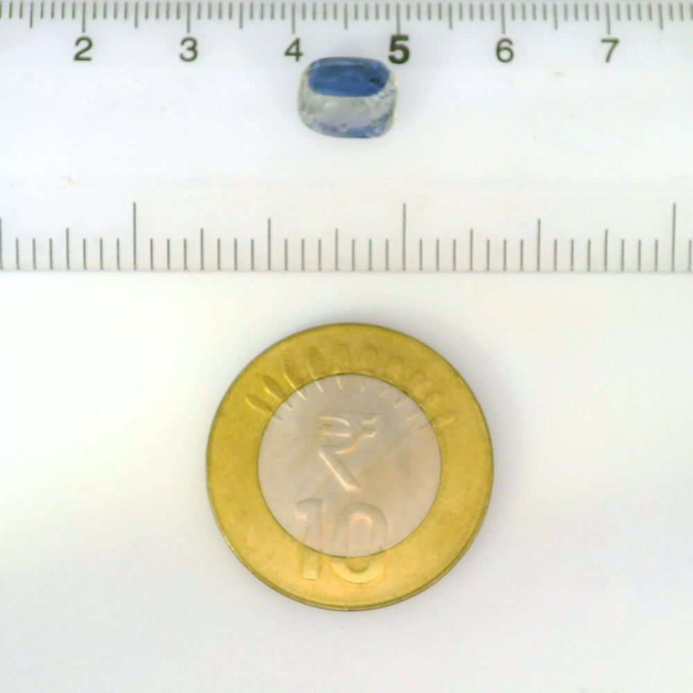 ITLGR_122110_SCALE.webp