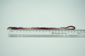 ITLGR_127703_SCALE.webp