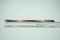 ITLGR_127705_SCALE.webp