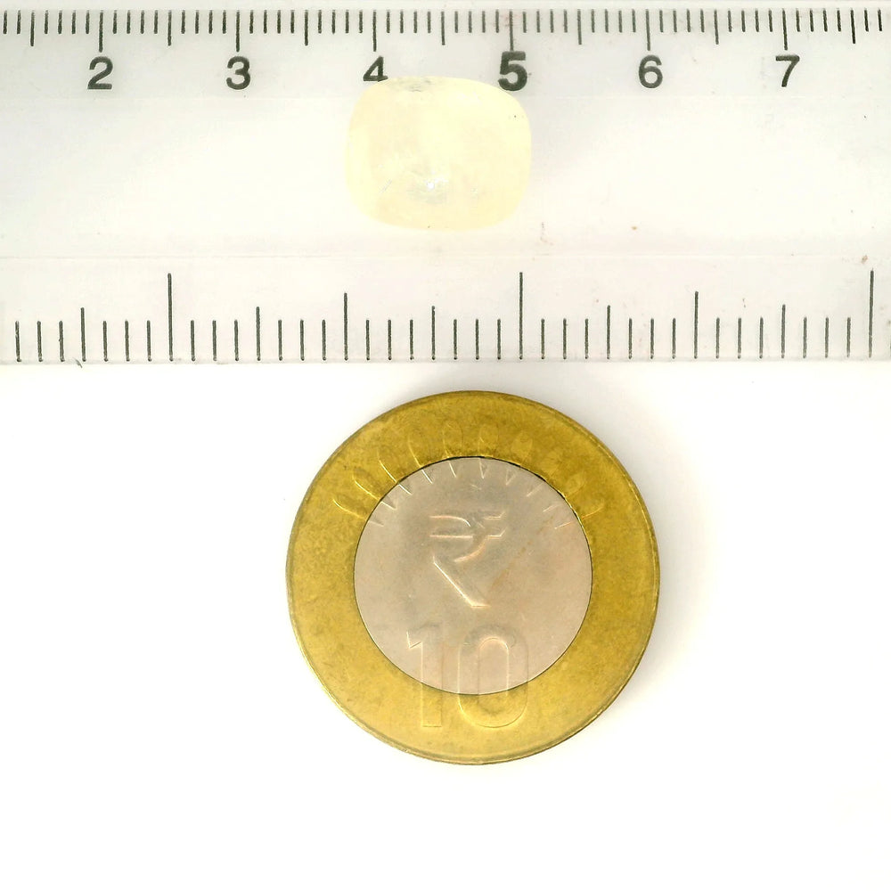 ITLGR_127972_SCALE.webp