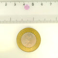 ITLGR_127995_SCALE.webp