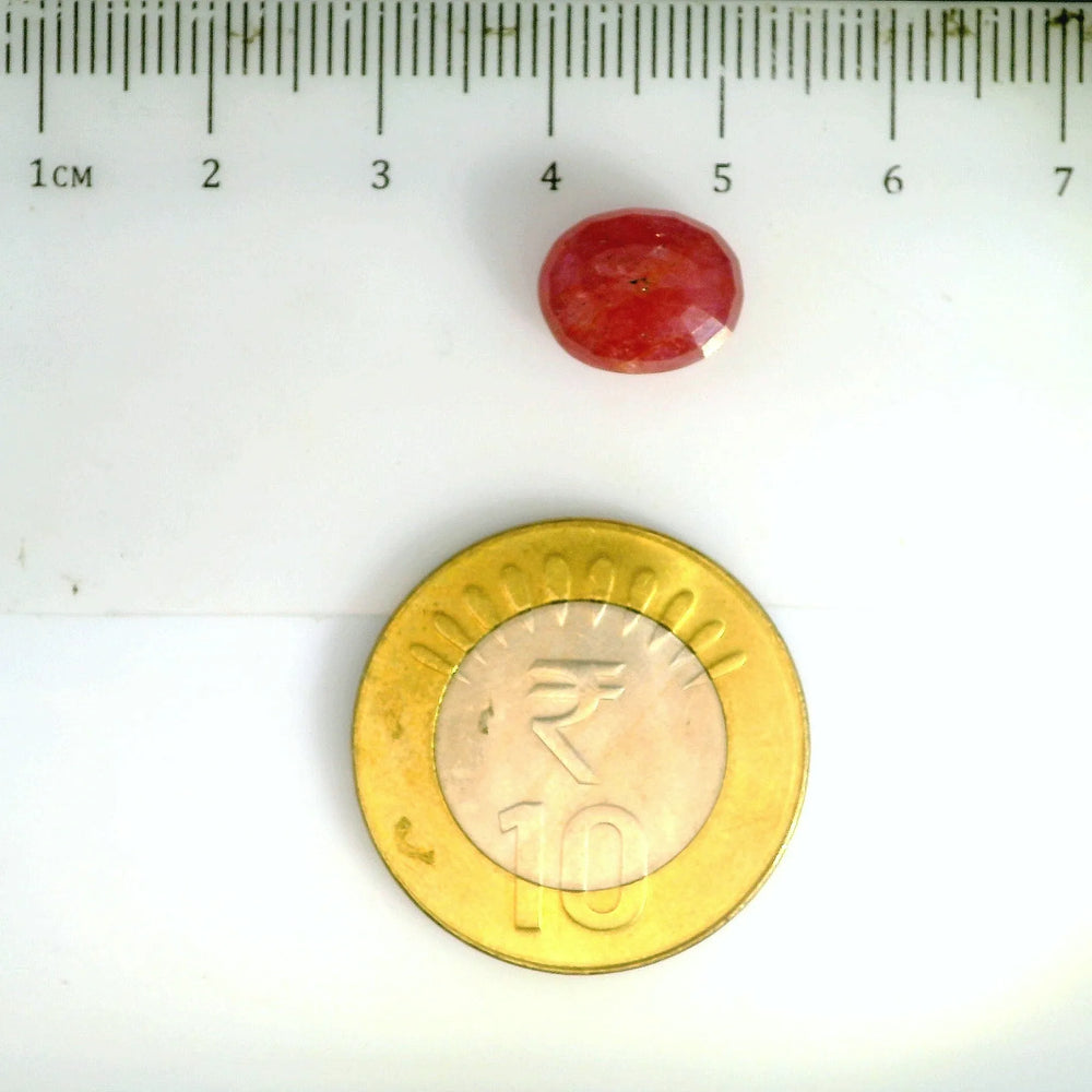 ITLGR_2419_SCALE.webp