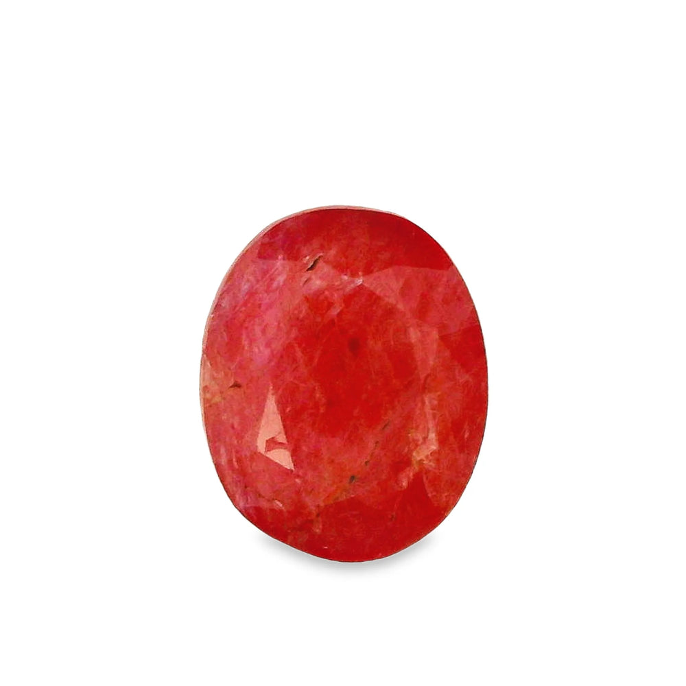 ITLGR_2419_TOP.webp