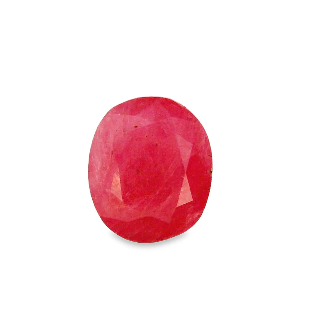 ITLGR_2425_TOP.webp