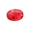 ITLGR_2434_FRONT.png