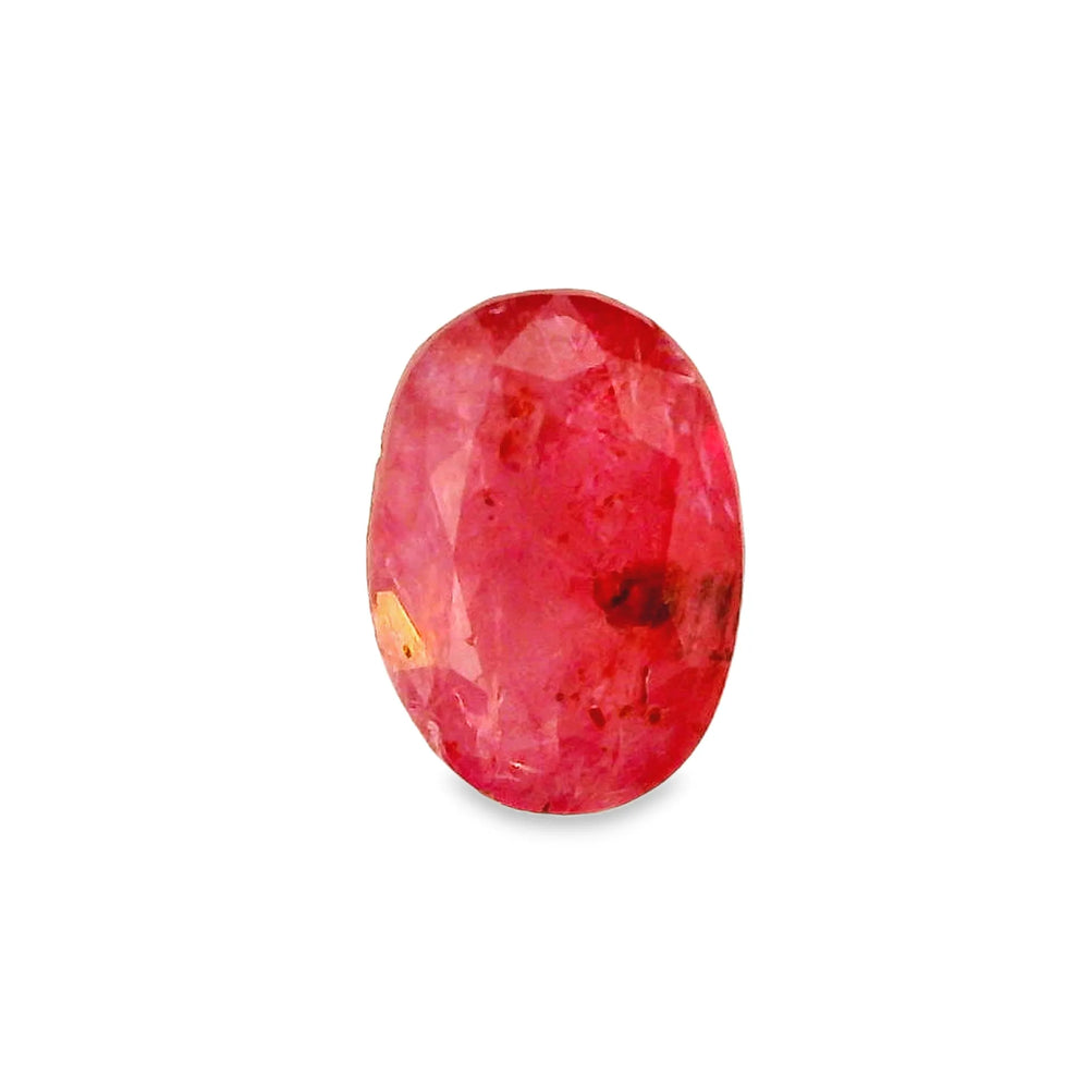 ITLGR_2434_TOP.webp