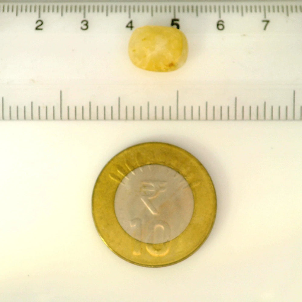 ITLGR_98856_SCALE.webp