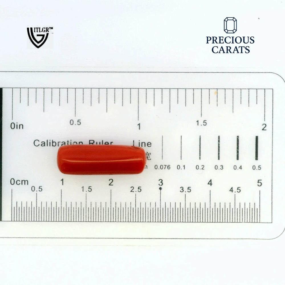 ITLGR_99870_SCALE.webp