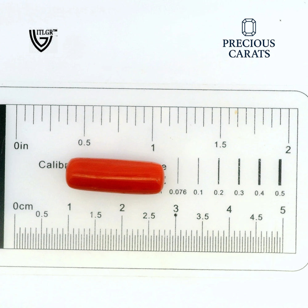 ITLGR_99877_SCALE.webp