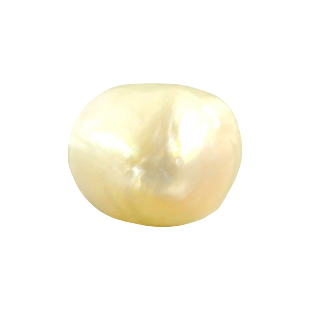 ZAVERIMAHAJAN_012923_FRONT.png