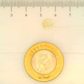 ITLGR_104950_SCALE.webp