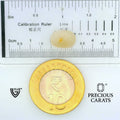 ITLGR_109980_SCALE.webp