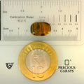 ITLGR_104440_SCALE.webp