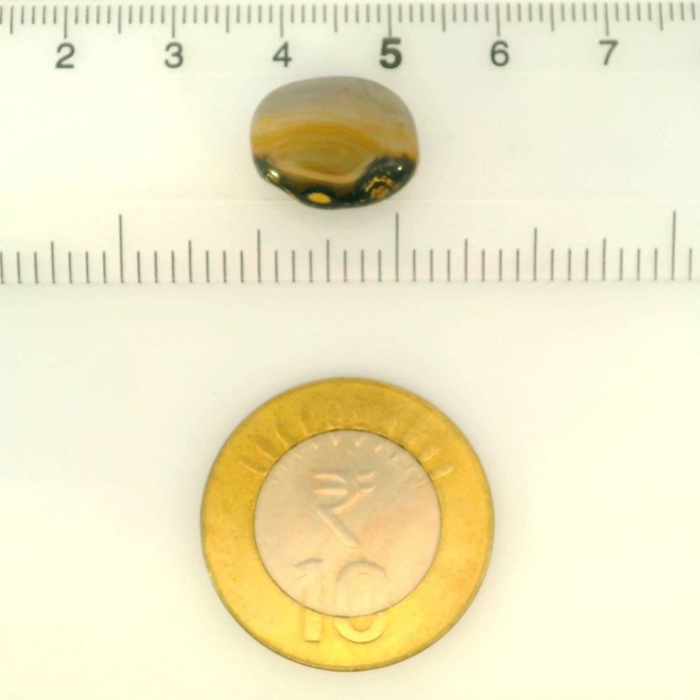 ITLGR_121441_SCALE.webp