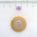 ITLGR_112995_SCALE.webp