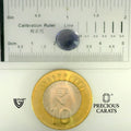 ITLGR_101666_SCALE.webp