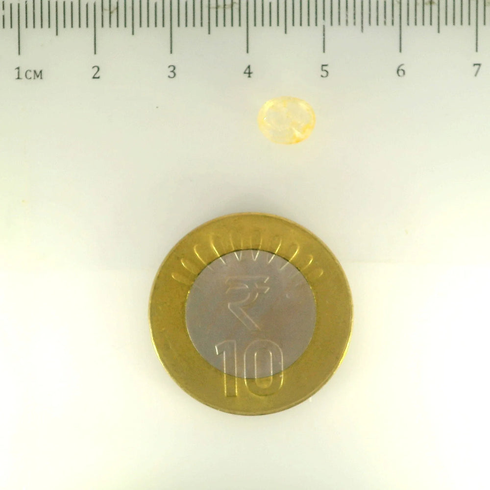 ITLGR_104909_SCALE.webp
