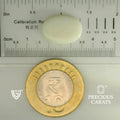 ITLGR_101876_SCALE.webp