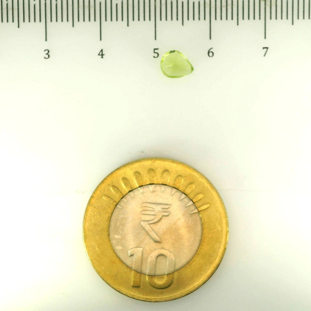 ITLGR_109363_SCALE.webp