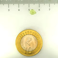 ITLGR_109363_SCALE.webp