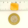 ITLGR_121712_SCALE.webp