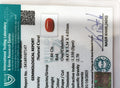 ITLGR_107147_CERTIFICATE.webp